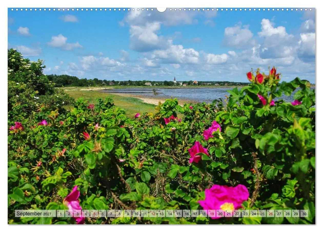 Bild: 9783569835771 | Typisch Amrum! (Wandkalender 2027 DIN A2 quer), CALVENDO...