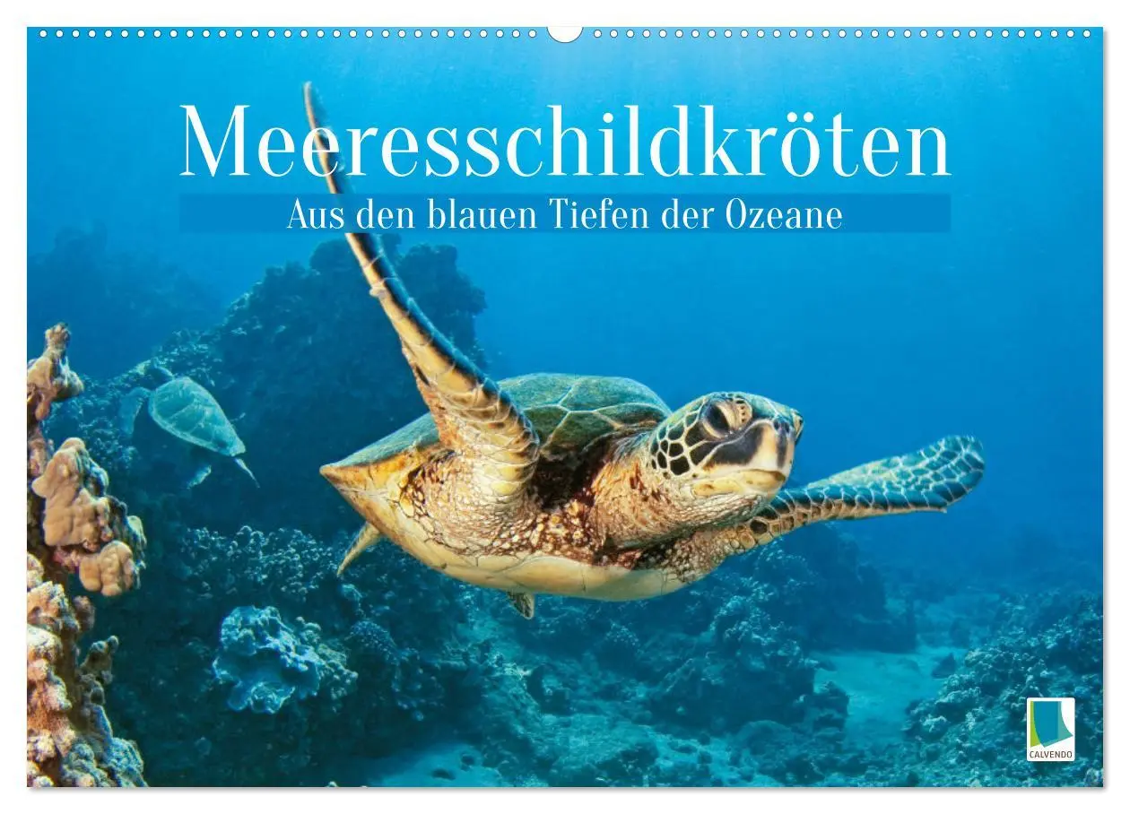 Cover: 9783457265871 | Meeresschildkröten: Aus den blauen Tiefen der Ozeane (Wandkalender...