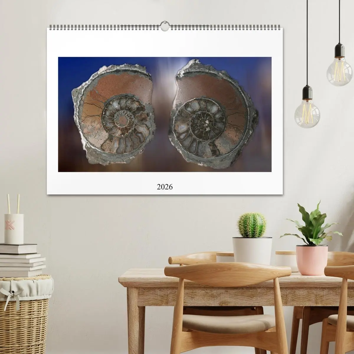 Bild: 9783457645871 | Versteinerte Welt (Wandkalender 2026 DIN A2 quer), CALVENDO...