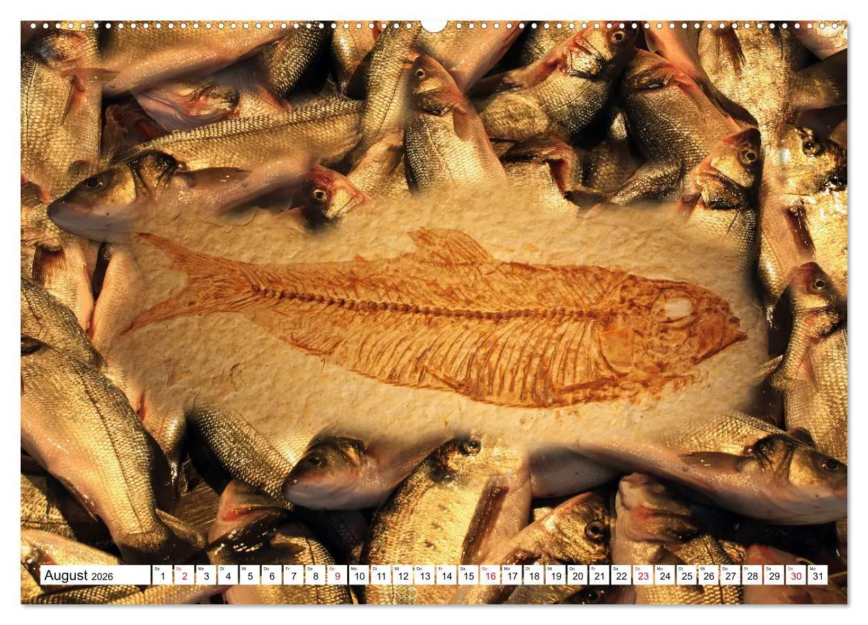 Bild: 9783457645871 | Versteinerte Welt (Wandkalender 2026 DIN A2 quer), CALVENDO...
