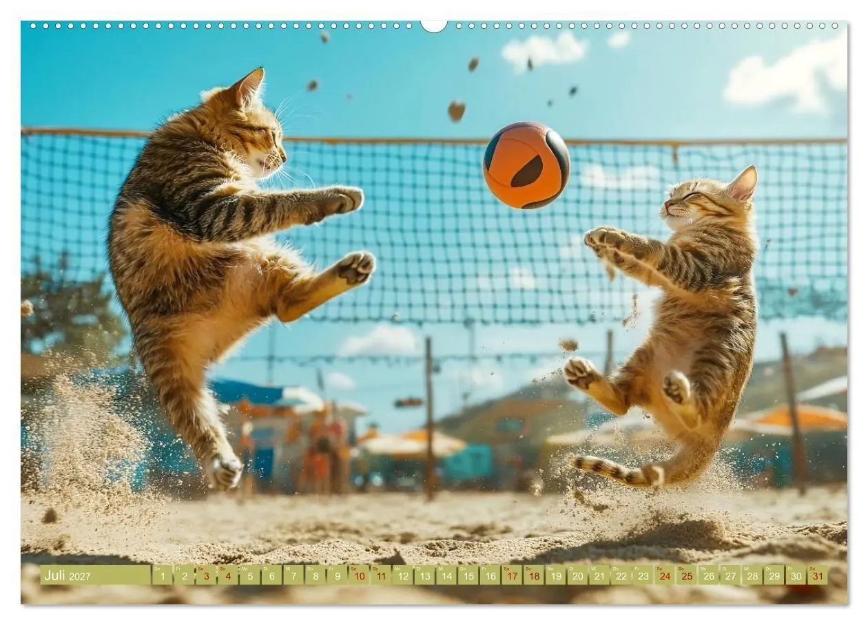 Bild: 9783569065871 | Lustige Sportarten für Katzen (hochwertiger Premium Wandkalender...