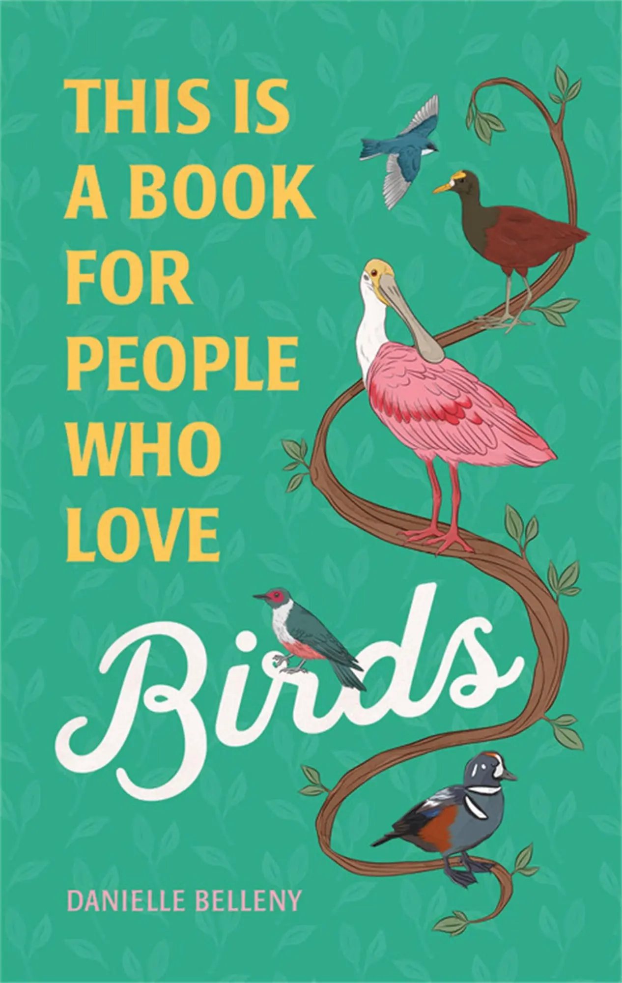 Cover: 9780762475971 | This Is a Book for People Who Love Birds | Danielle Belleny | Buch