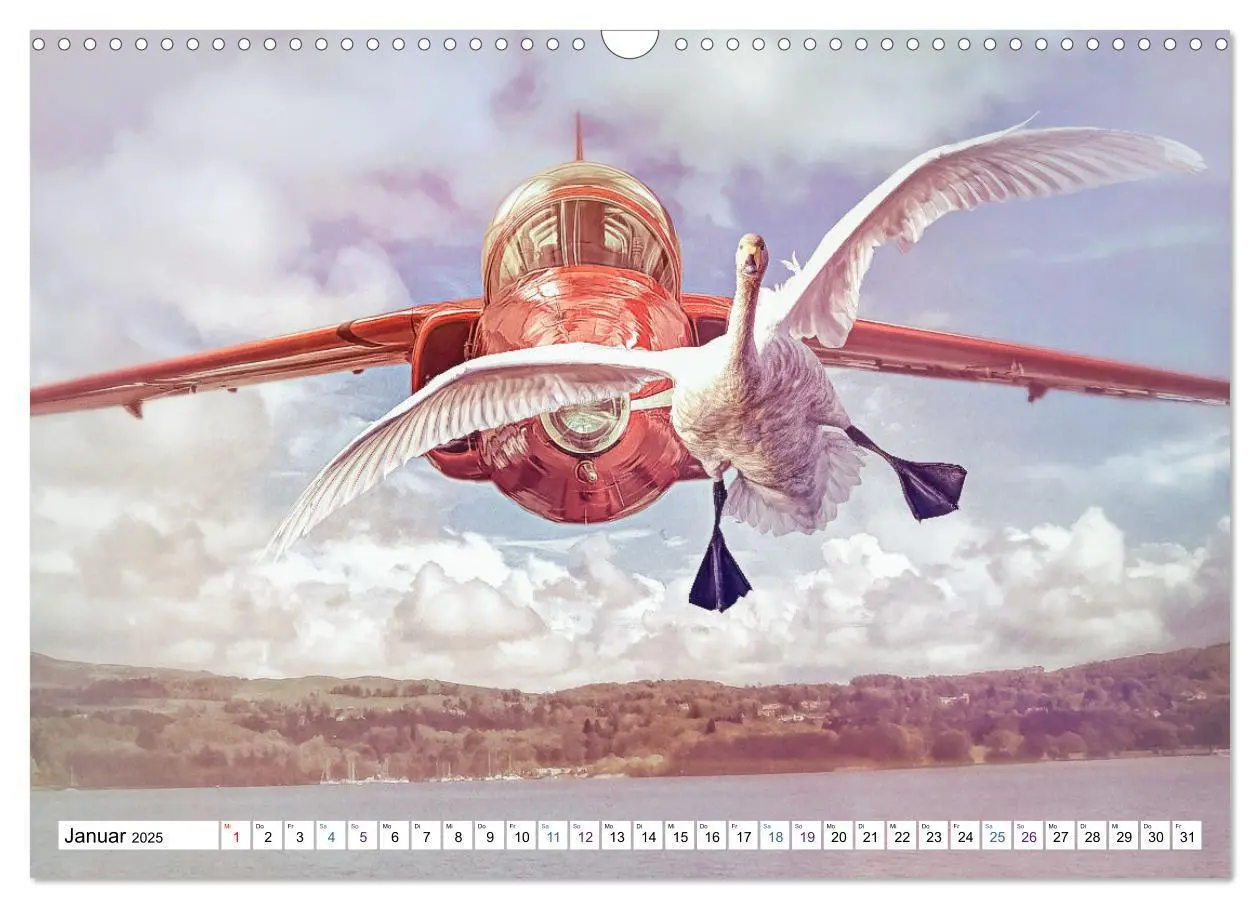 Bild: 9783435095971 | Fliegen, Fliegen - humorvolle Montagen (Wandkalender 2025 DIN A3...