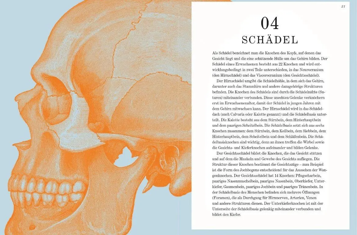 Bild: 9789463595971 | GRAY'S ANATOMIE RÄTSELBUCH | GARETH MOORE (u. a.) | Buch | 192 S.