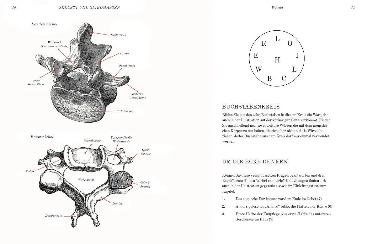 Bild: 9789463595971 | GRAY'S ANATOMIE RÄTSELBUCH | GARETH MOORE (u. a.) | Buch | 192 S.