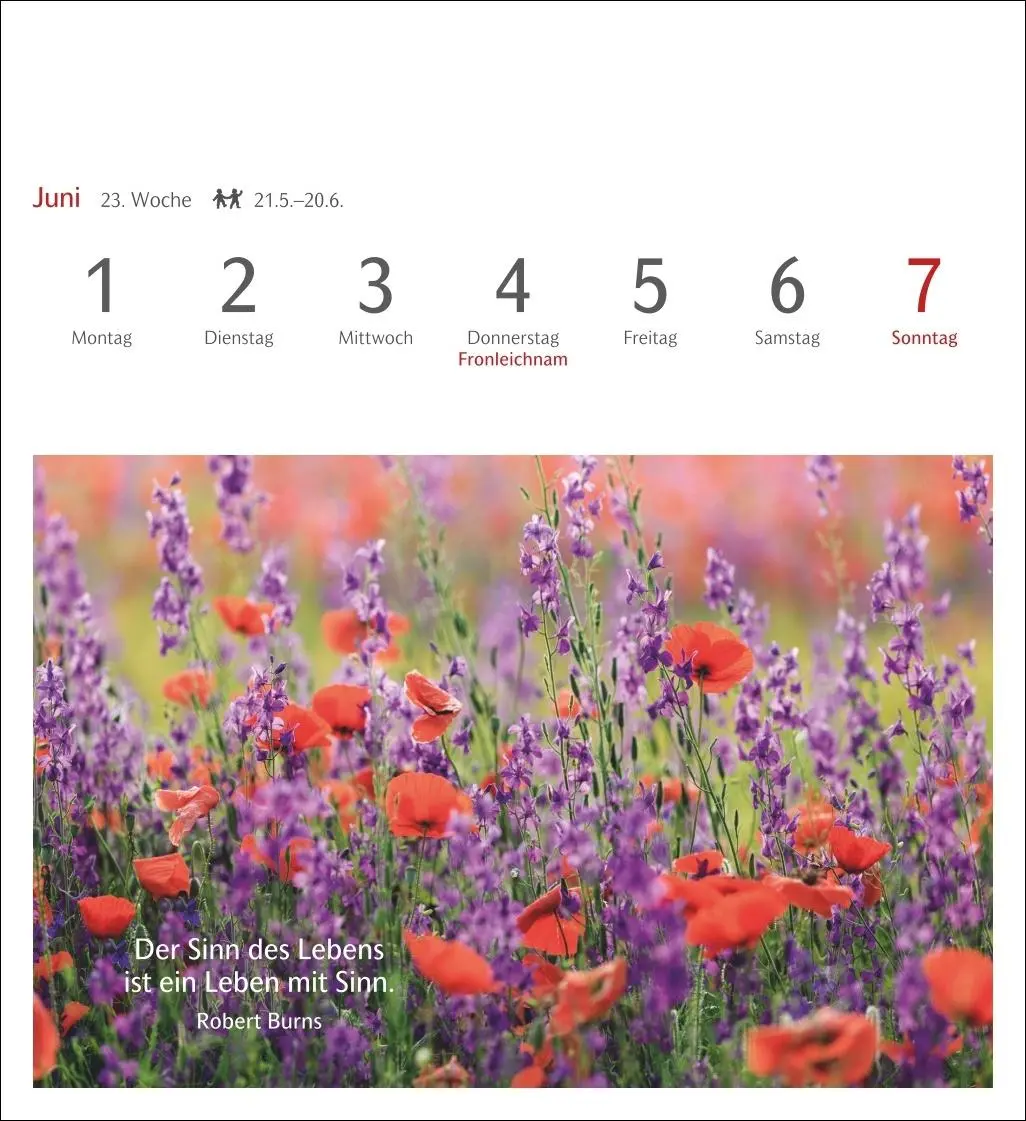 Bild: 9783840036071 | Momente des Glücks Postkartenkalender 2026 - Wochenkalender mit...