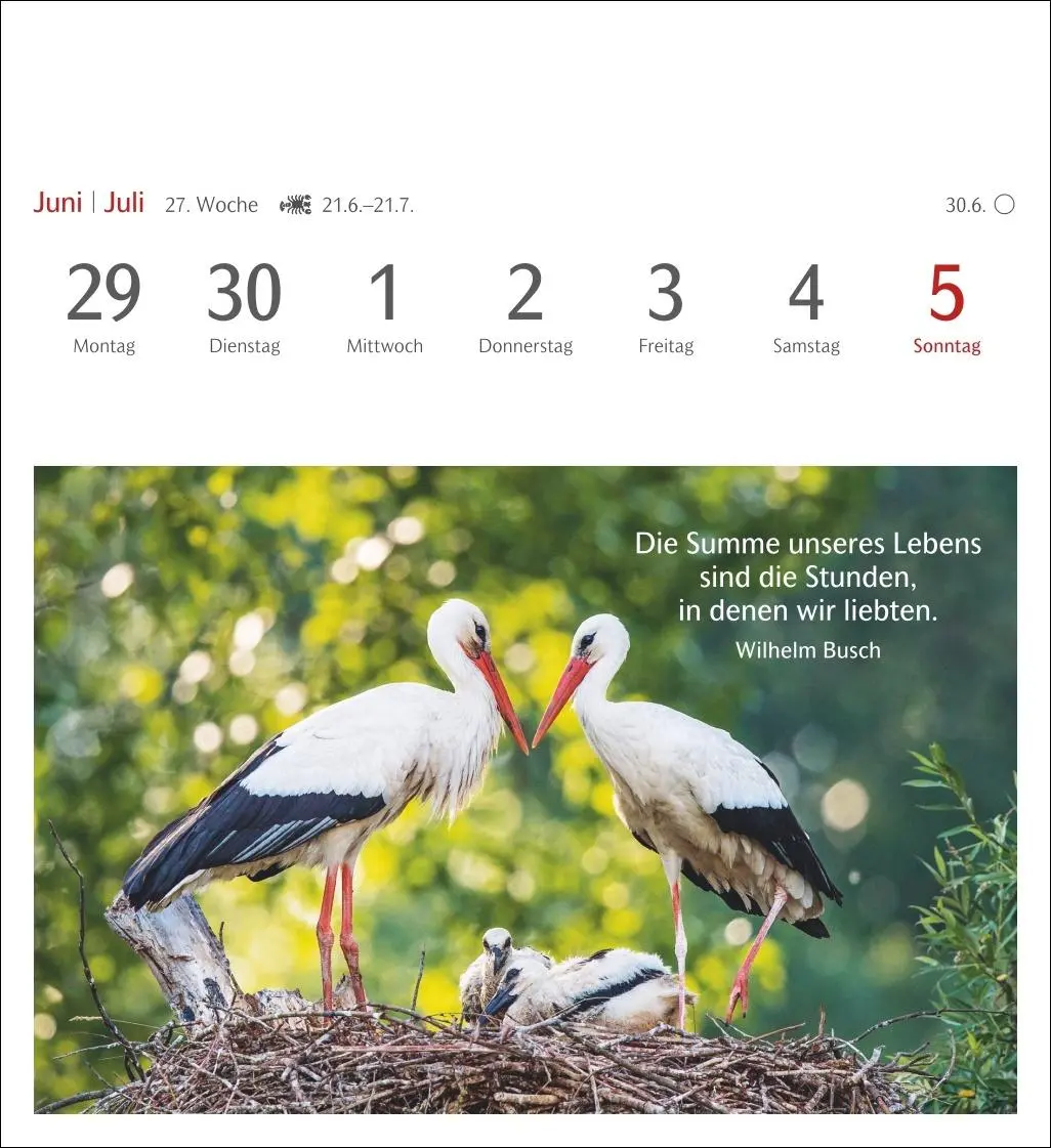 Bild: 9783840036071 | Momente des Glücks Postkartenkalender 2026 - Wochenkalender mit...