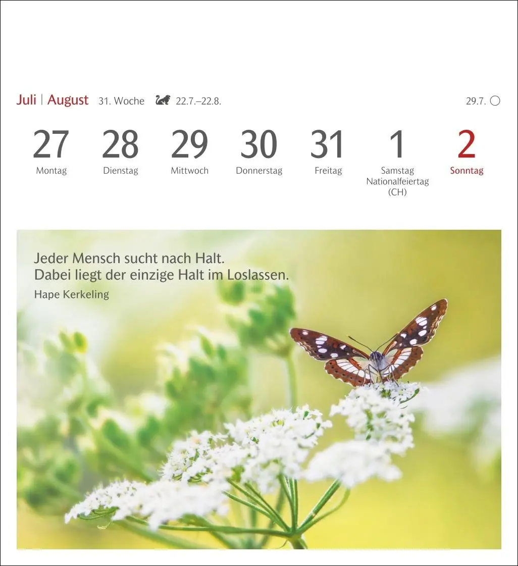 Bild: 9783840036071 | Momente des Glücks Postkartenkalender 2026 - Wochenkalender mit...