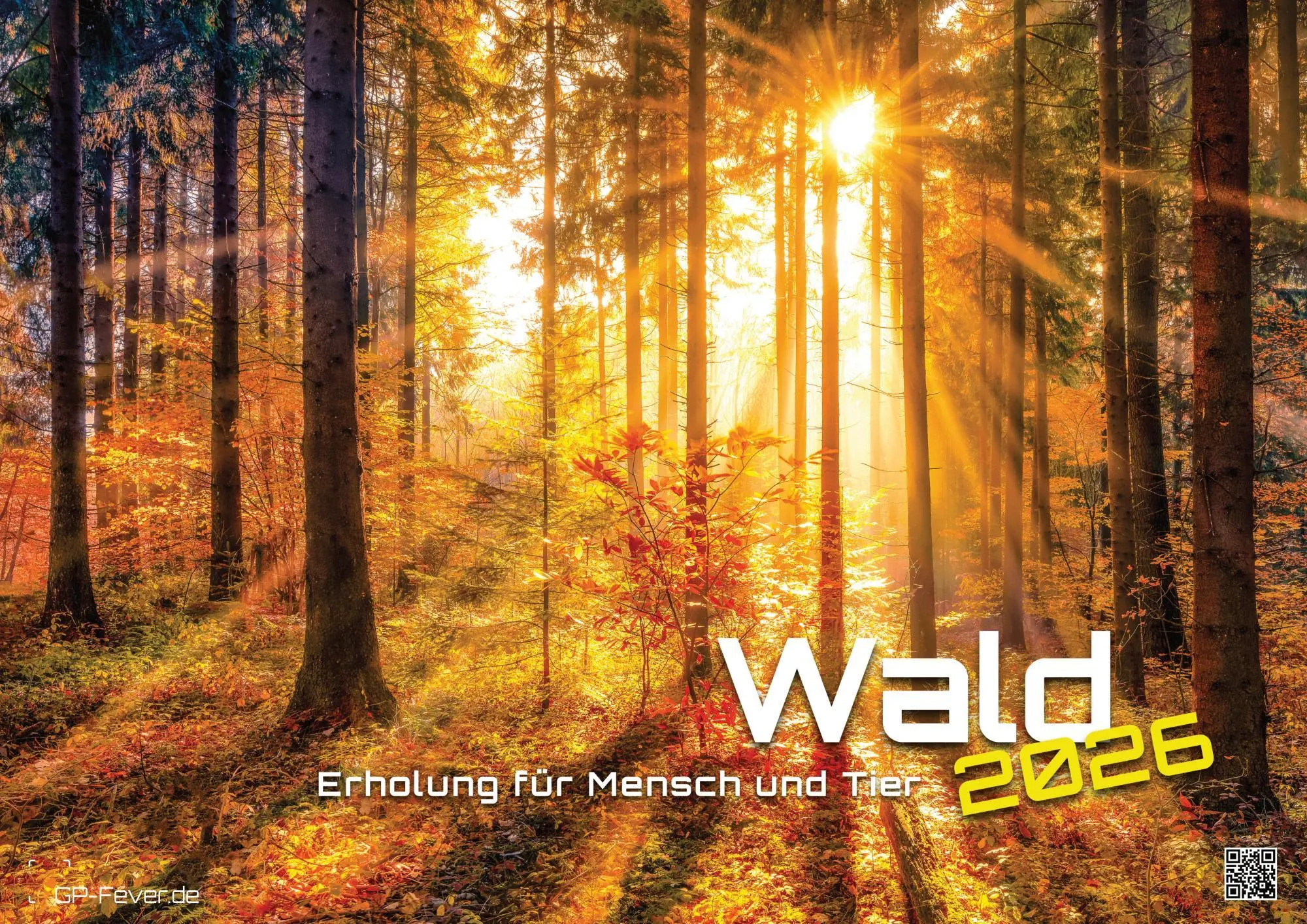 Cover: 9783986736071 | Wald - Erholung für Mensch und Tier - 2026 - Kalender DIN A2 | de