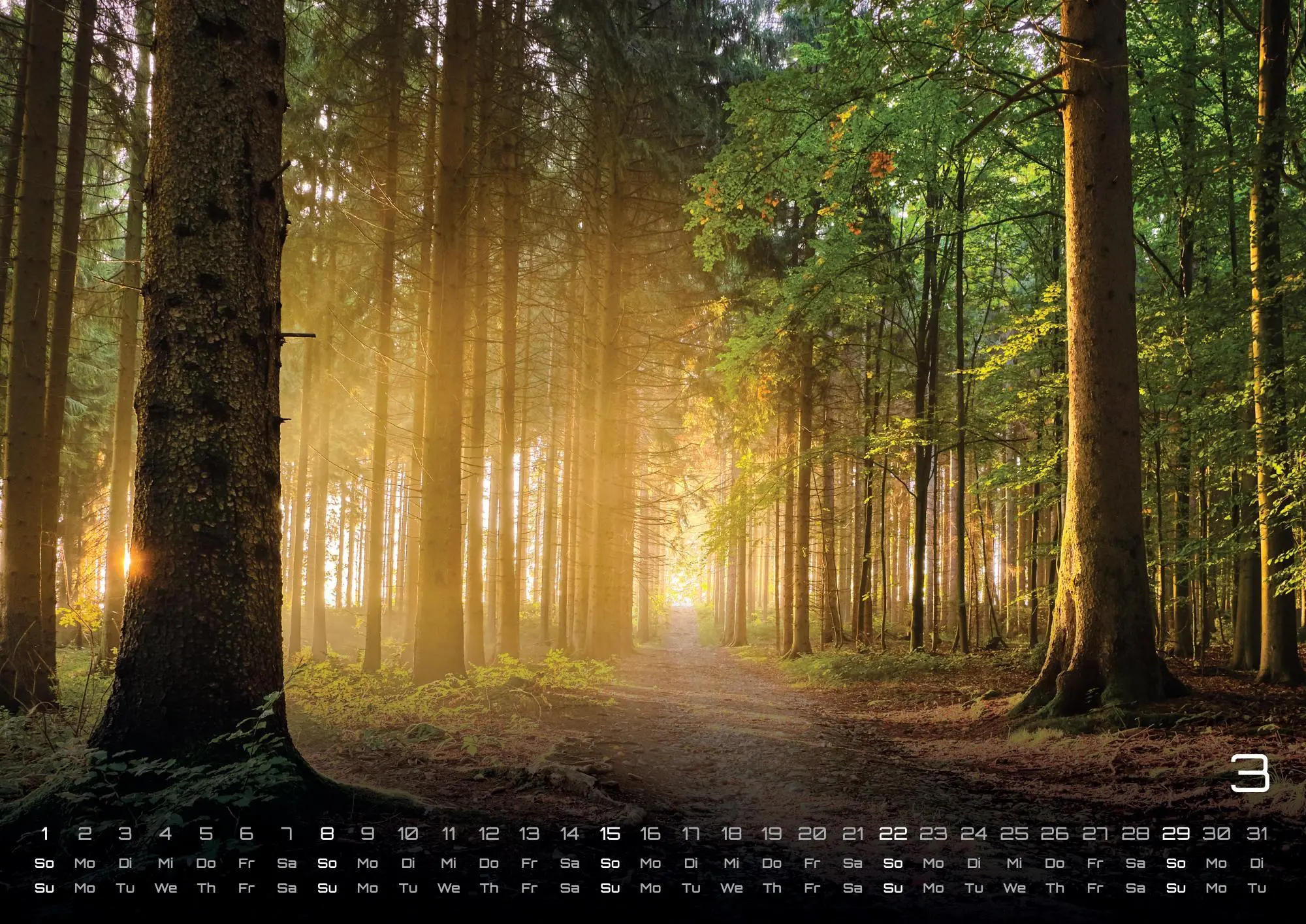 Bild: 9783986736071 | Wald - Erholung für Mensch und Tier - 2026 - Kalender DIN A2 | de