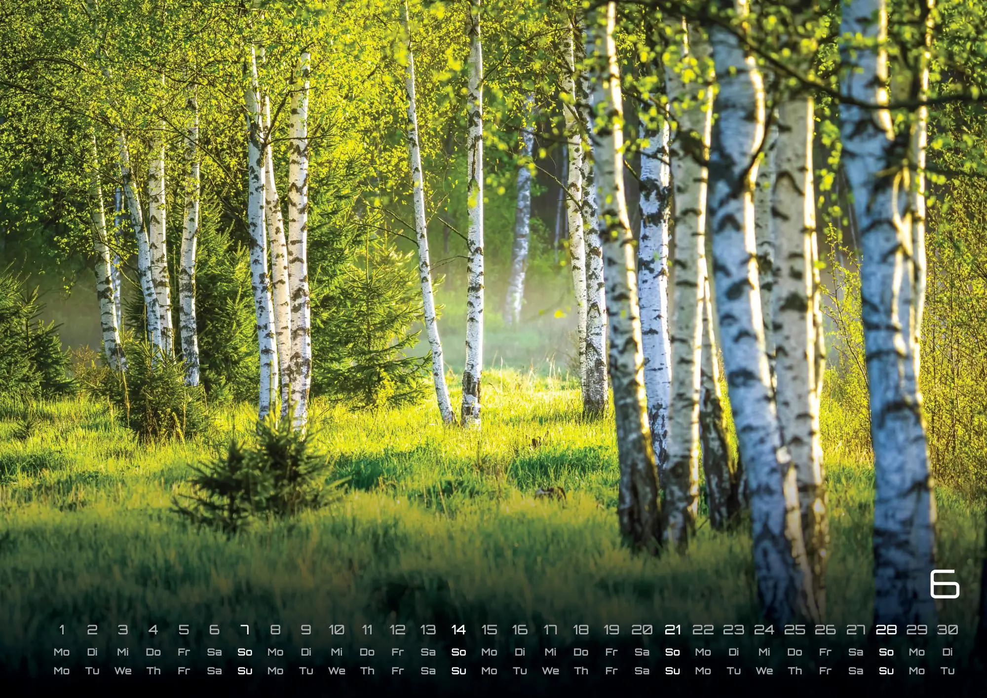 Bild: 9783986736071 | Wald - Erholung für Mensch und Tier - 2026 - Kalender DIN A2 | de