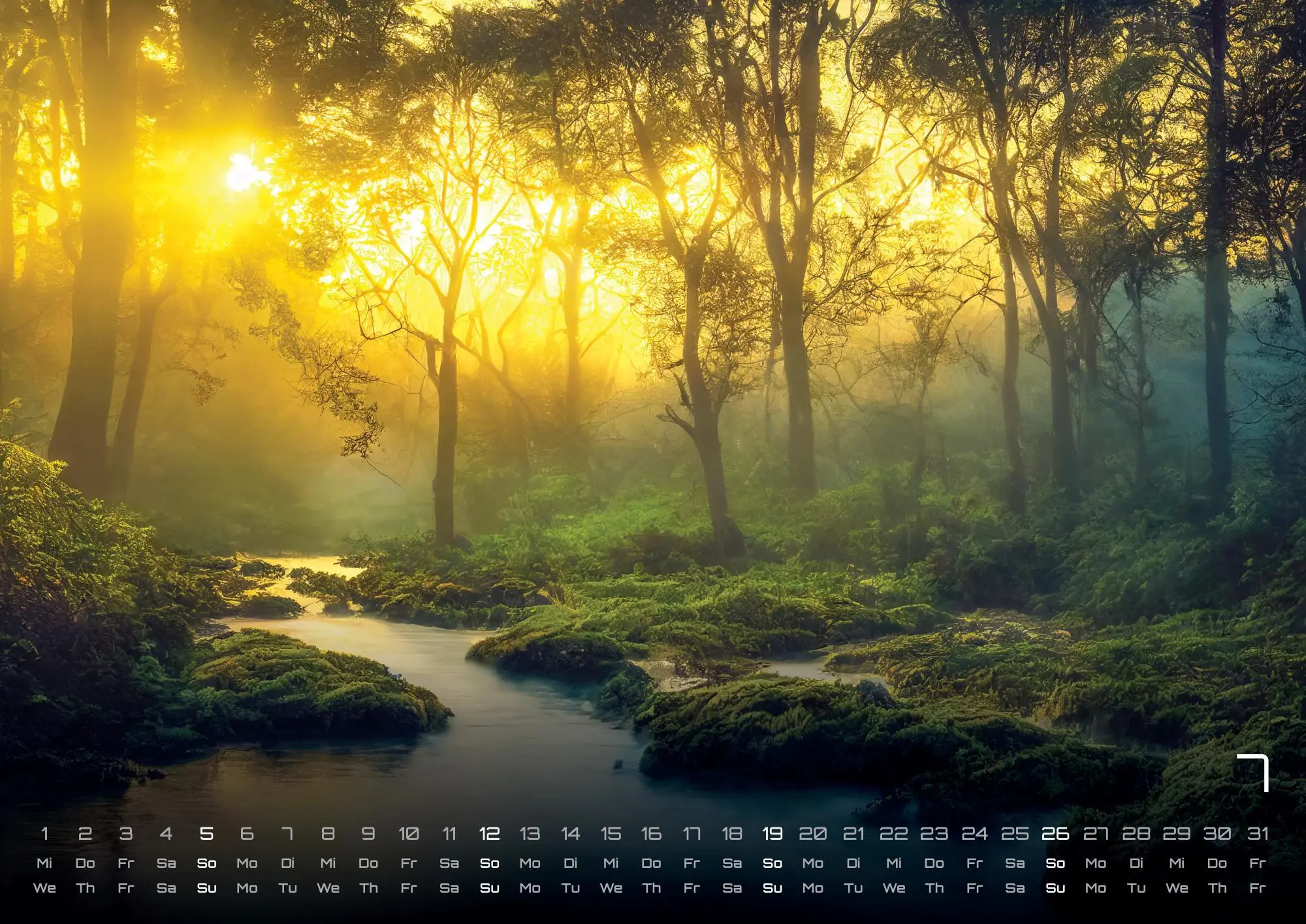 Bild: 9783986736071 | Wald - Erholung für Mensch und Tier - 2026 - Kalender DIN A2 | de