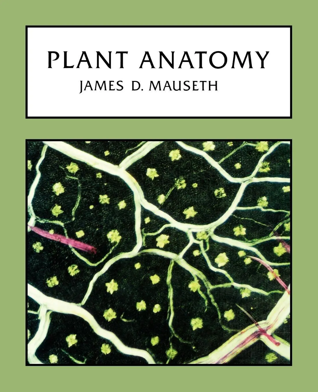 Cover: 9781932846171 | Plant Anatomy | James D. Mauseth | Taschenbuch | Englisch | 2008