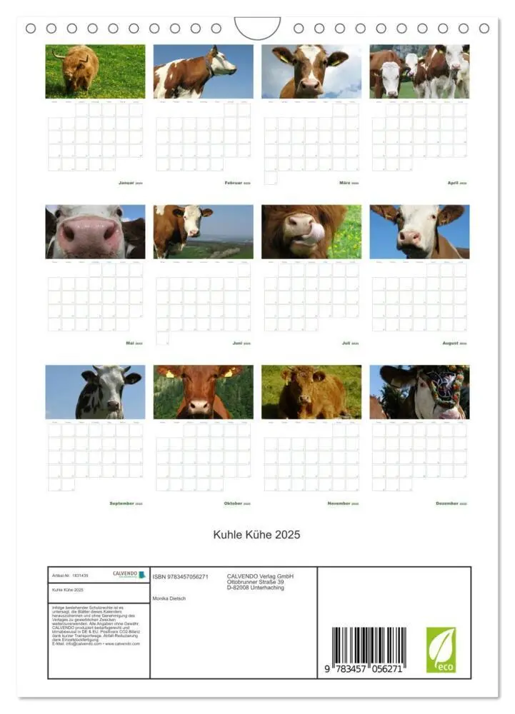 Bild: 9783457056271 | Kuhle Kühe 2025 (Wandkalender 2025 DIN A4 hoch), CALVENDO...