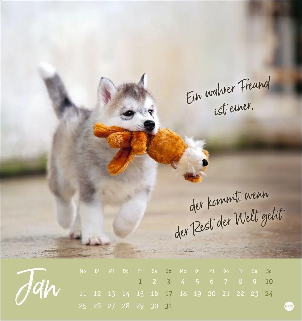 Bild: 9783756416271 | Ziemlich beste Freunde Postkartenkalender 2027 - Für immer dein | Heye