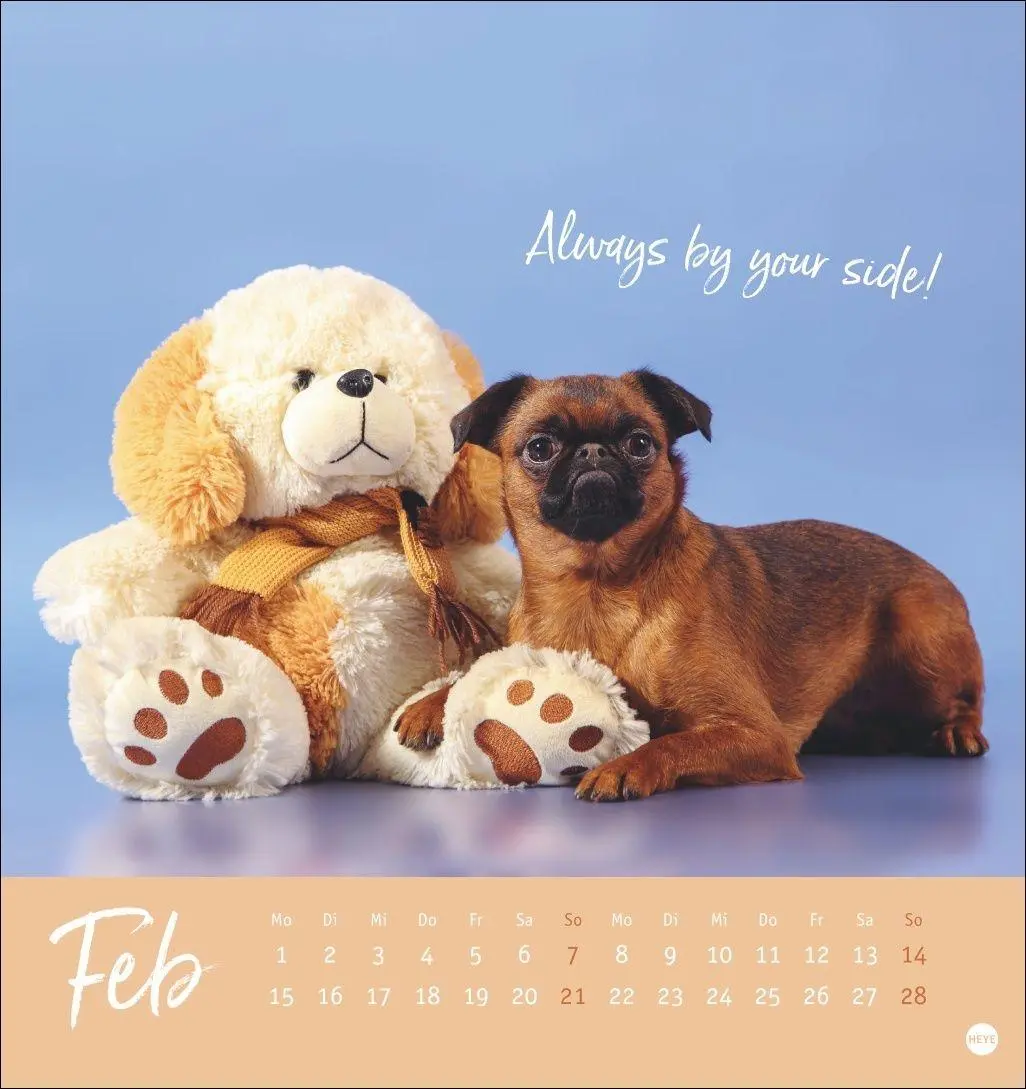 Bild: 9783756416271 | Ziemlich beste Freunde Postkartenkalender 2027 - Für immer dein | Heye