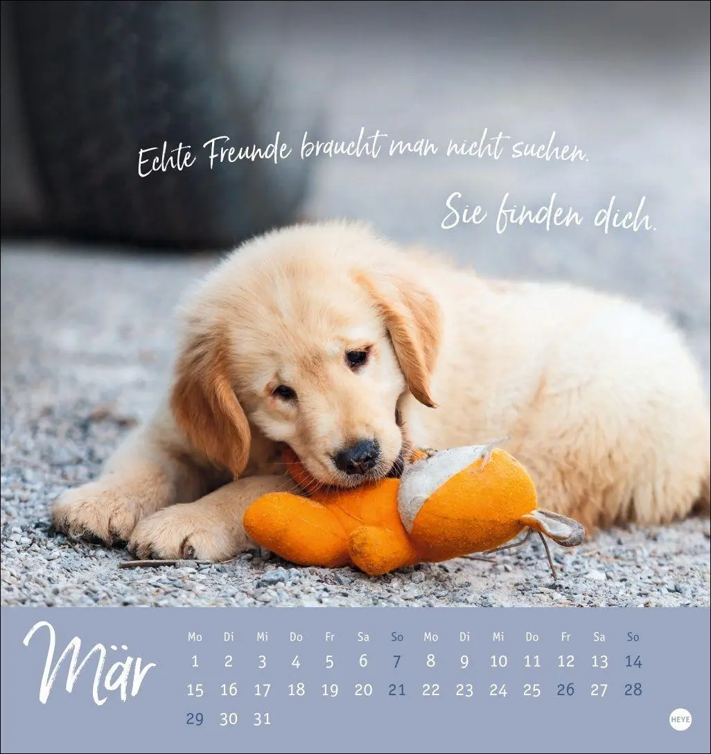 Bild: 9783756416271 | Ziemlich beste Freunde Postkartenkalender 2027 - Für immer dein | Heye