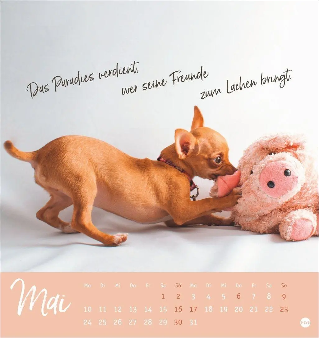 Bild: 9783756416271 | Ziemlich beste Freunde Postkartenkalender 2027 - Für immer dein | Heye