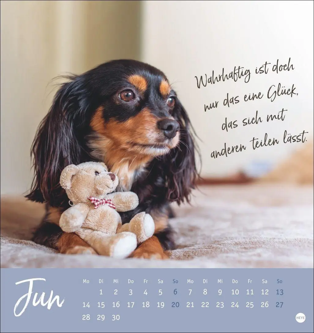 Bild: 9783756416271 | Ziemlich beste Freunde Postkartenkalender 2027 - Für immer dein | Heye