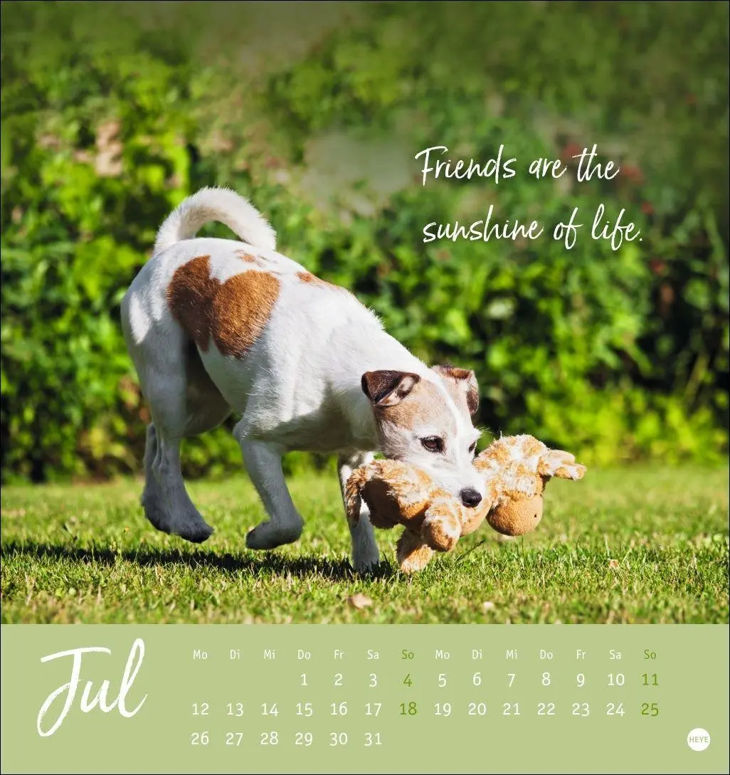 Bild: 9783756416271 | Ziemlich beste Freunde Postkartenkalender 2027 - Für immer dein | Heye