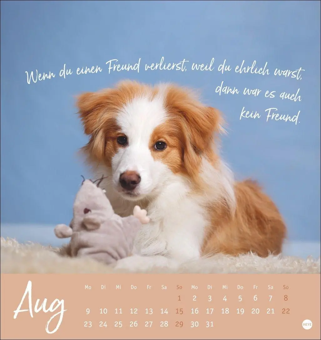 Bild: 9783756416271 | Ziemlich beste Freunde Postkartenkalender 2027 - Für immer dein | Heye