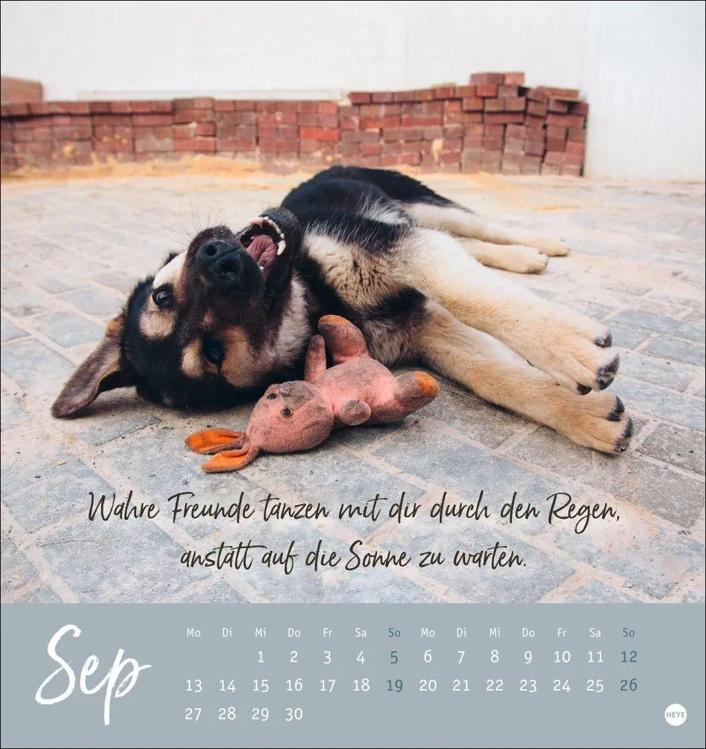 Bild: 9783756416271 | Ziemlich beste Freunde Postkartenkalender 2027 - Für immer dein | Heye