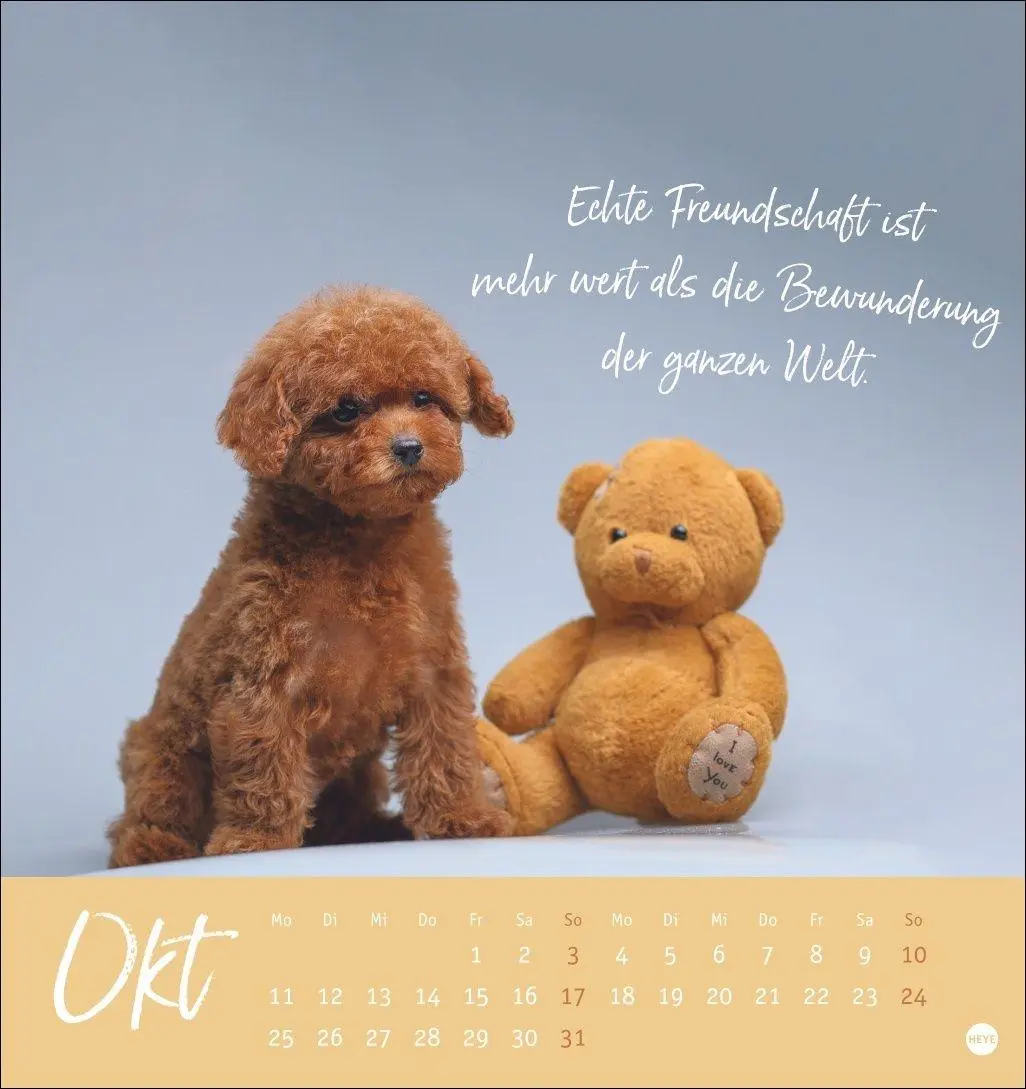 Bild: 9783756416271 | Ziemlich beste Freunde Postkartenkalender 2027 - Für immer dein | Heye