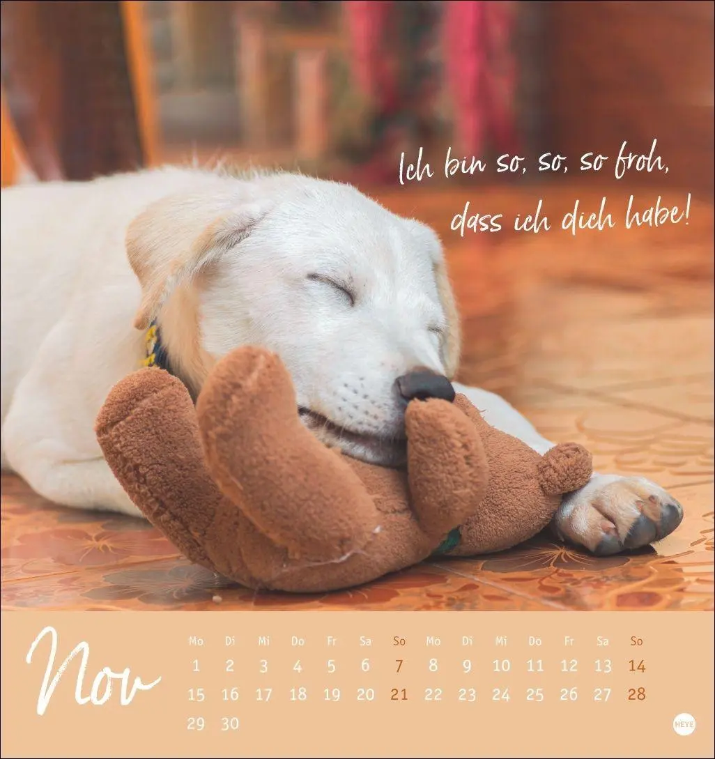 Bild: 9783756416271 | Ziemlich beste Freunde Postkartenkalender 2027 - Für immer dein | Heye