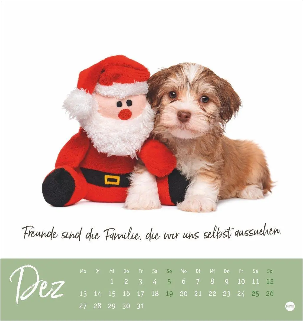 Bild: 9783756416271 | Ziemlich beste Freunde Postkartenkalender 2027 - Für immer dein | Heye