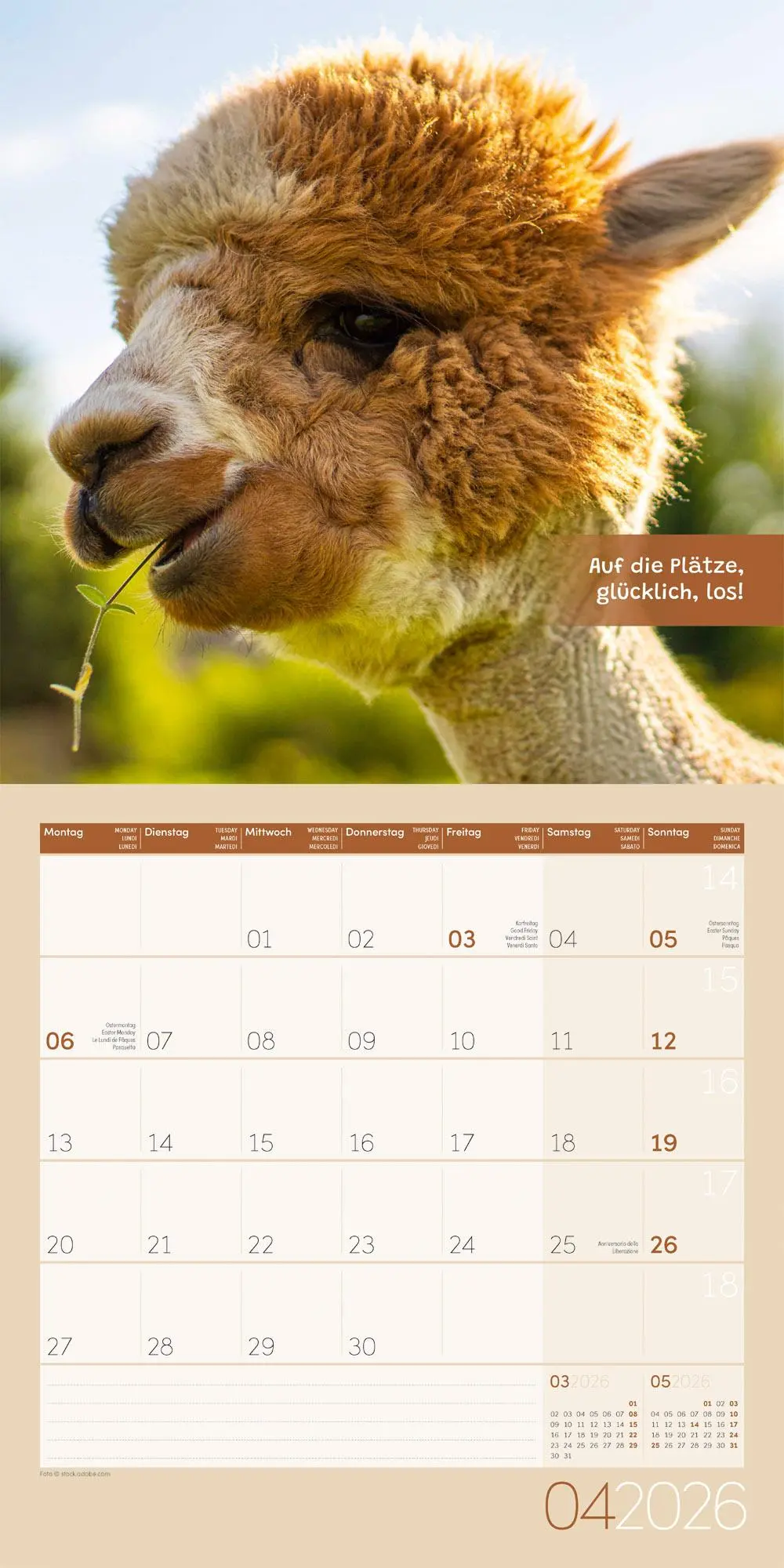 Bild: 9783838446271 | No Drama, Lama Broschürenkalender 2026 - 30x30 - Art12 | GmbH | 28 S.