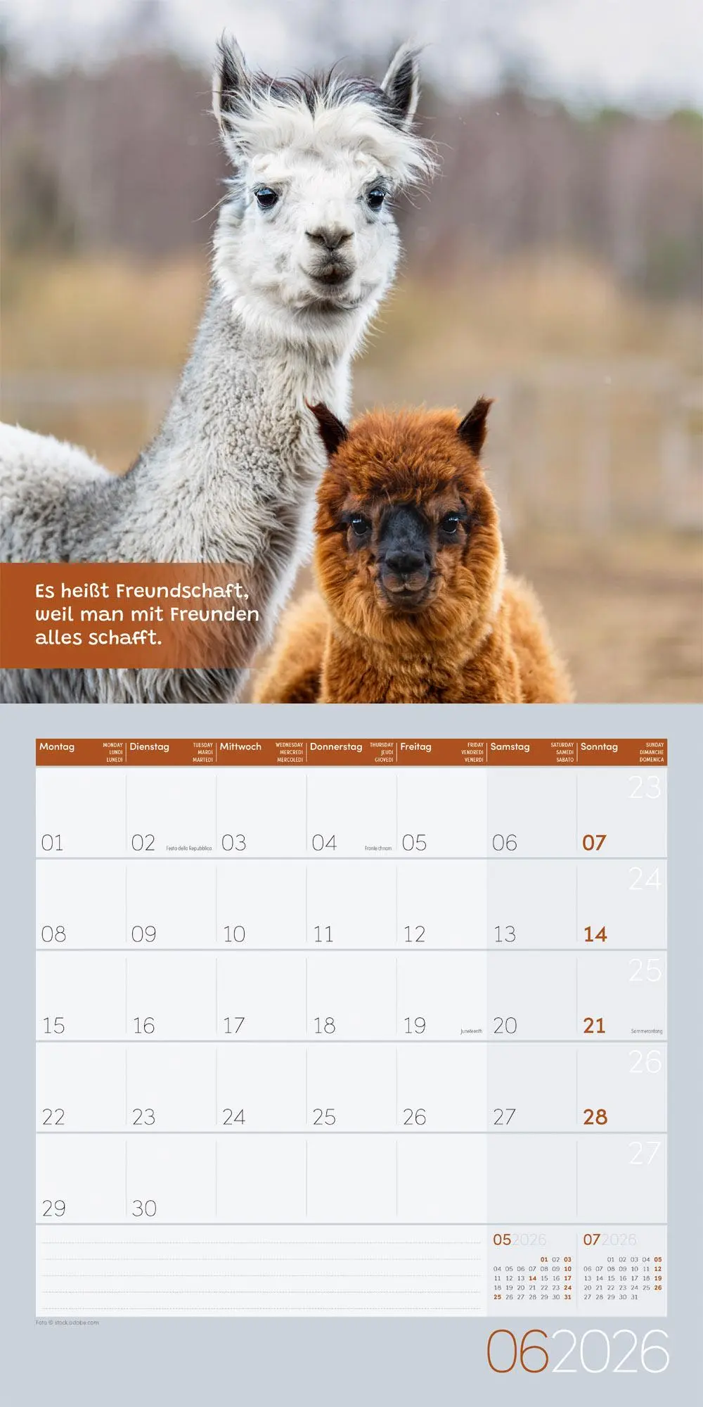 Bild: 9783838446271 | No Drama, Lama Broschürenkalender 2026 - 30x30 - Art12 | GmbH | 28 S.