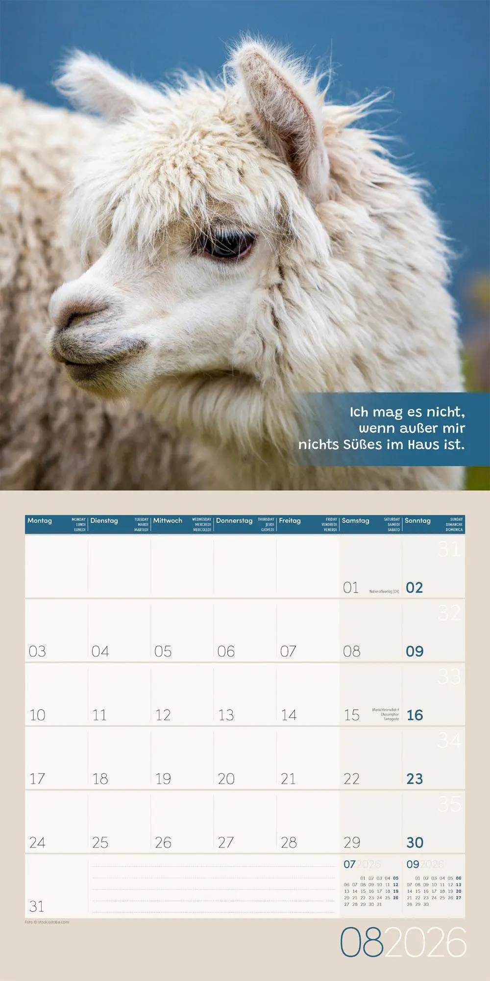 Bild: 9783838446271 | No Drama, Lama Broschürenkalender 2026 - 30x30 - Art12 | GmbH | 28 S.