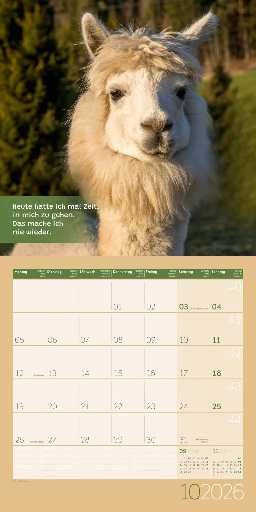 Bild: 9783838446271 | No Drama, Lama Broschürenkalender 2026 - 30x30 - Art12 | GmbH | 28 S.