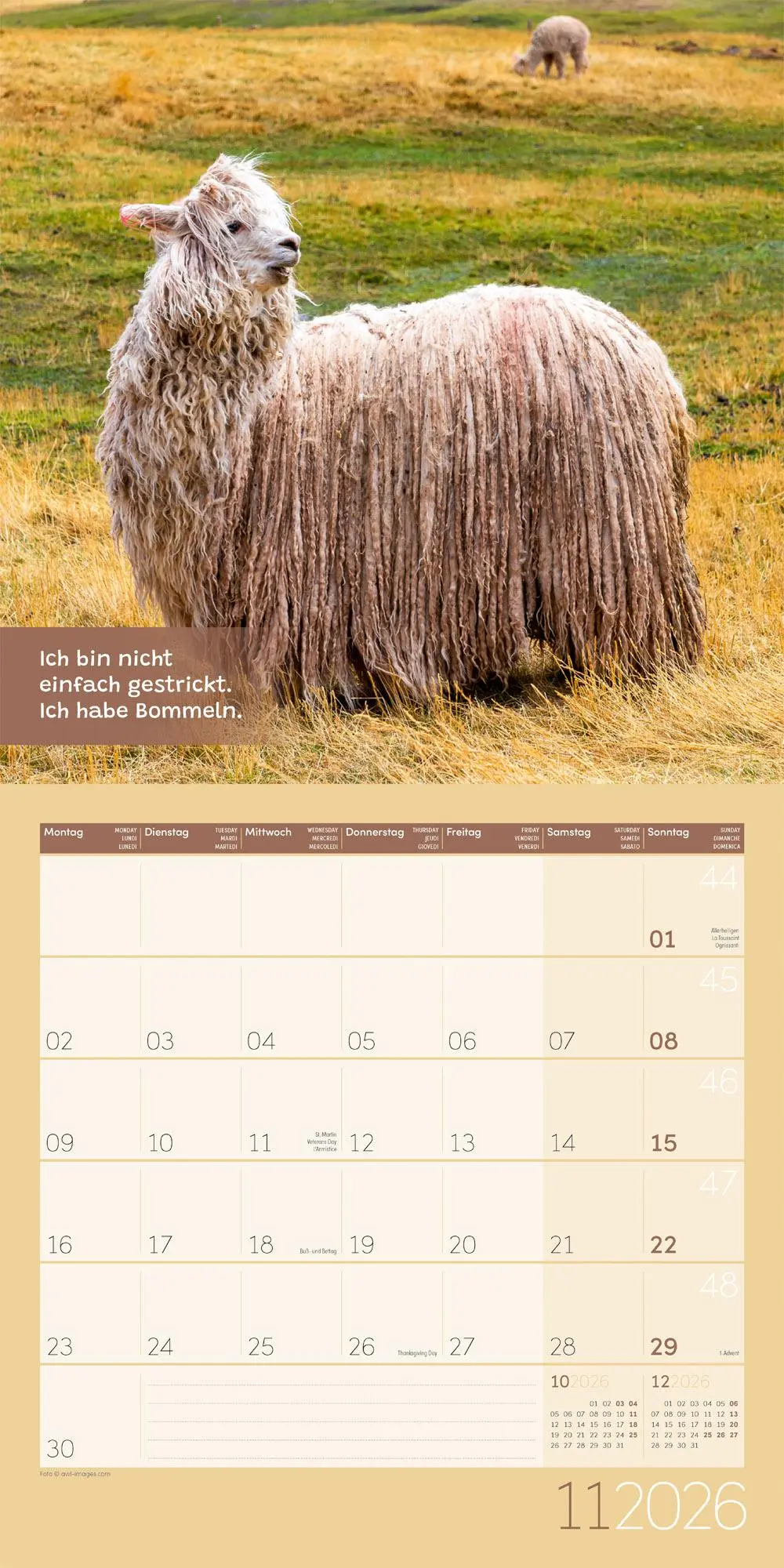 Bild: 9783838446271 | No Drama, Lama Broschürenkalender 2026 - 30x30 - Art12 | GmbH | 28 S.