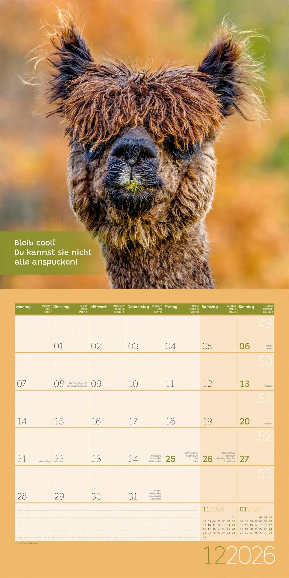 Bild: 9783838446271 | No Drama, Lama Broschürenkalender 2026 - 30x30 - Art12 | GmbH | 28 S.
