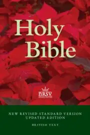 Cover: 9781009526371 | Nrsvue Popular Text Bible, Nr530: T | Updated Edition, British Text