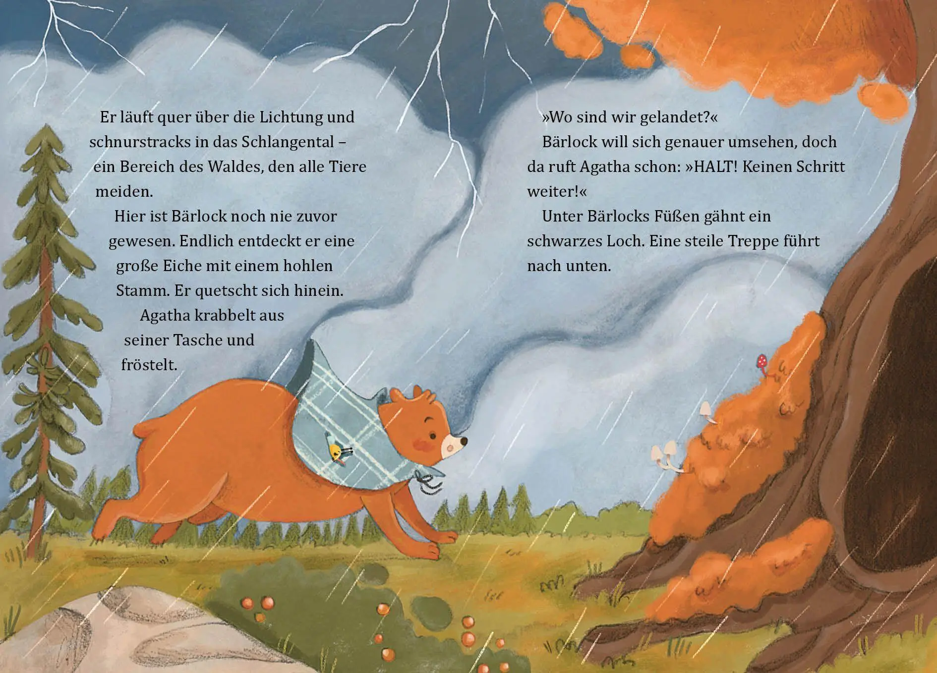 Bild: 9783423766371 | Die Jahreszeiten-Detektive - Wer hat den Herbst gestohlen? | Fandrey