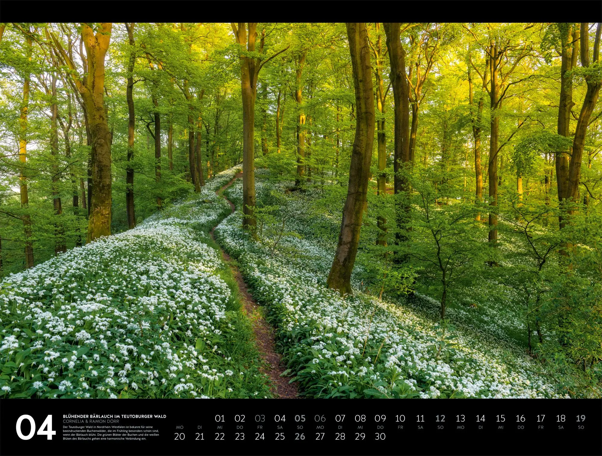 Bild: 9783838436371 | Naturparadies Deutschland Signature Kalender 2026 | Dörr | Kalender