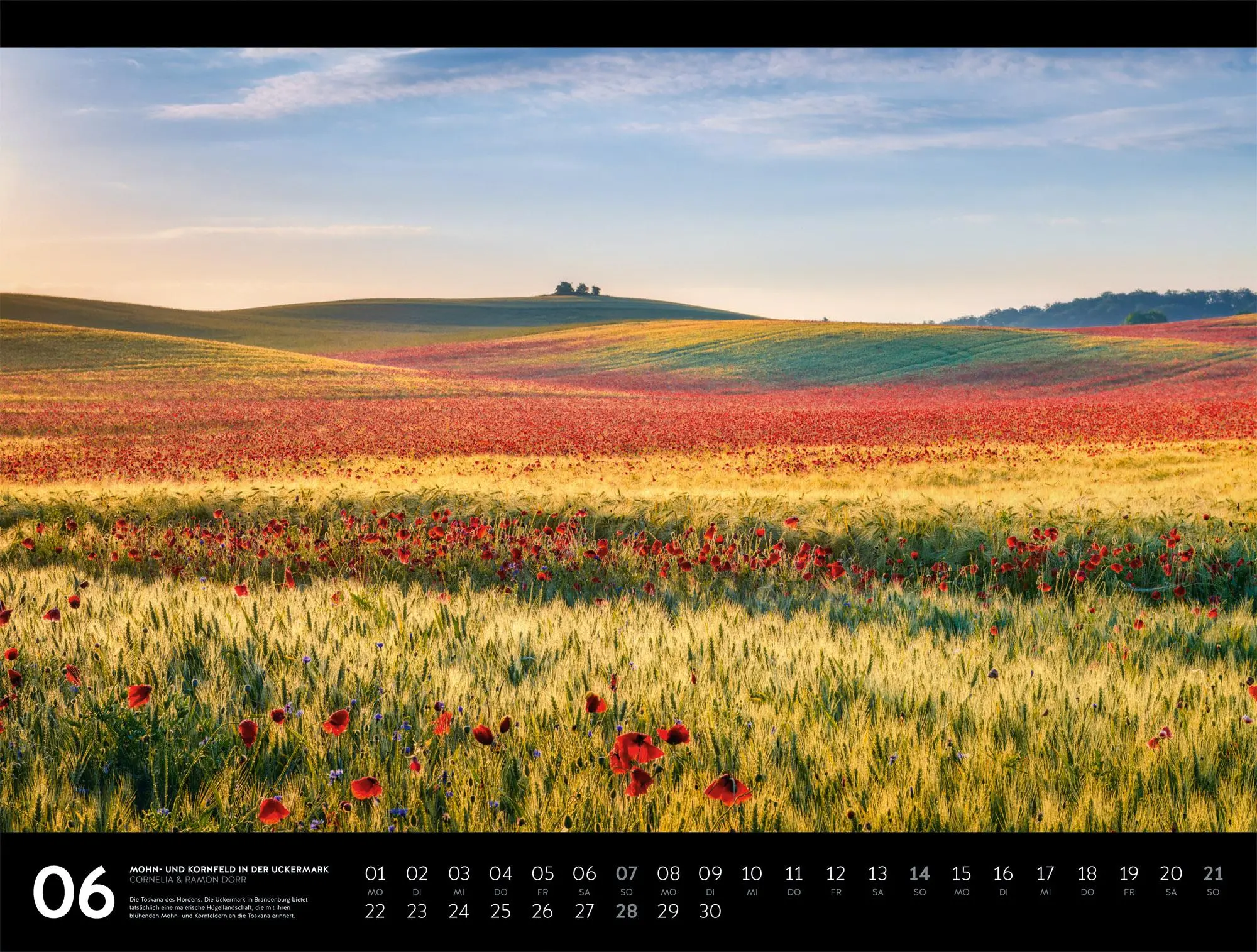 Bild: 9783838436371 | Naturparadies Deutschland Signature Kalender 2026 | Dörr | Kalender