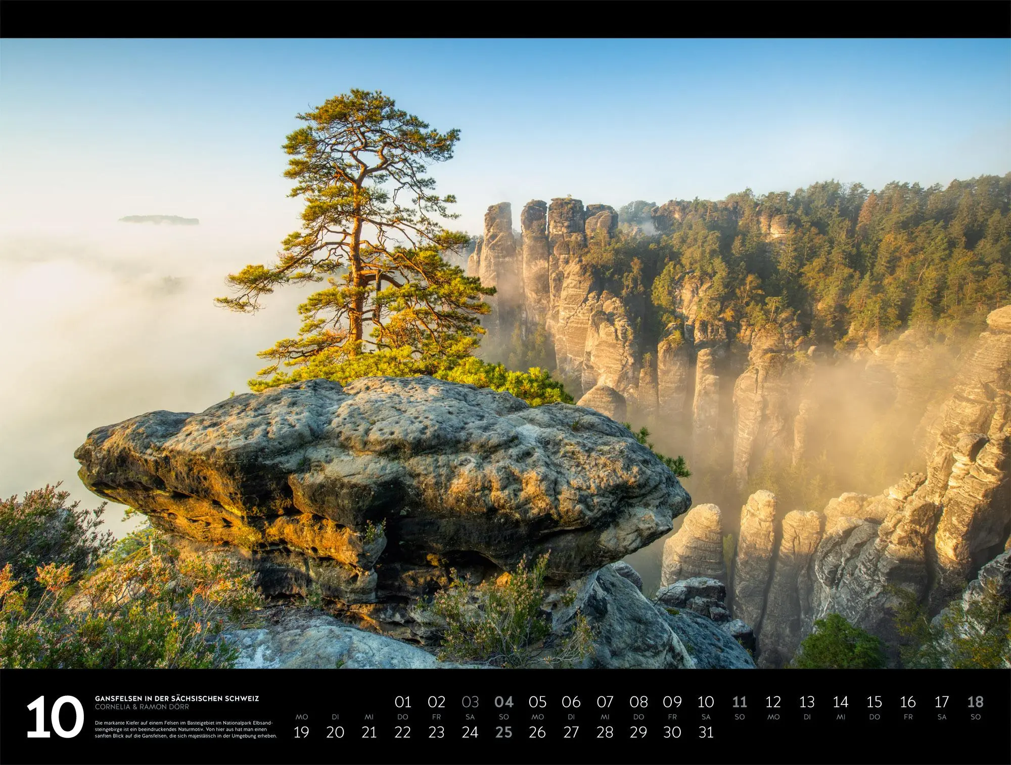 Bild: 9783838436371 | Naturparadies Deutschland Signature Kalender 2026 | Dörr | Kalender
