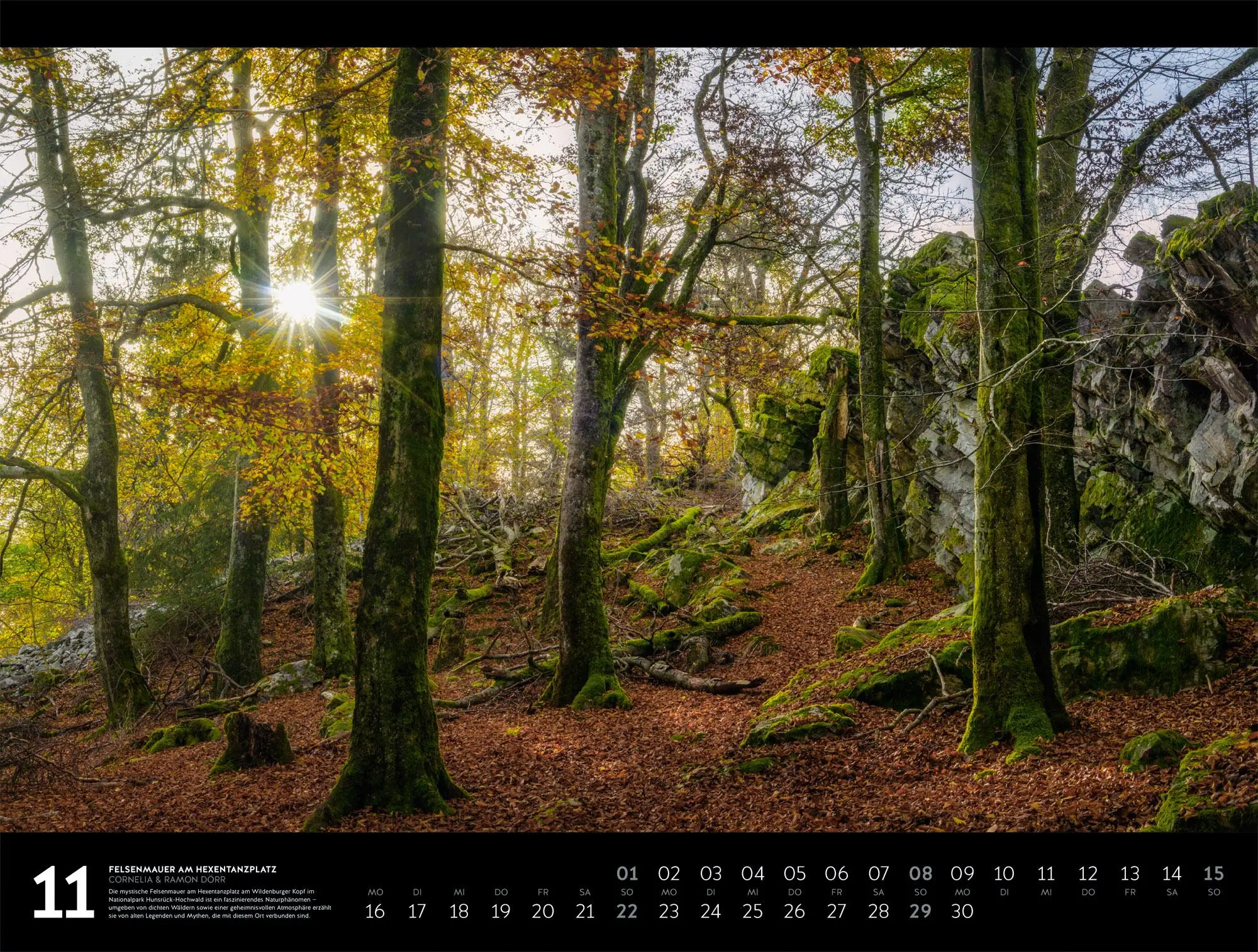 Bild: 9783838436371 | Naturparadies Deutschland Signature Kalender 2026 | Dörr | Kalender
