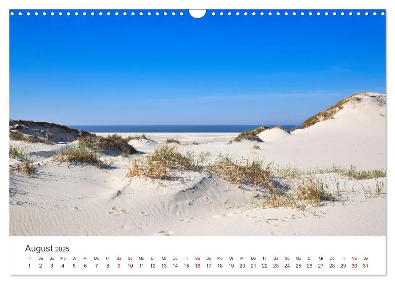 Bild: 9783435016471 | Amrum - Perle der Nordsee (Wandkalender 2025 DIN A3 quer), CALVENDO...