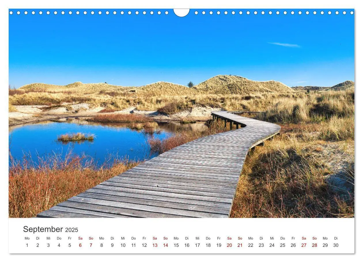 Bild: 9783435016471 | Amrum - Perle der Nordsee (Wandkalender 2025 DIN A3 quer), CALVENDO...