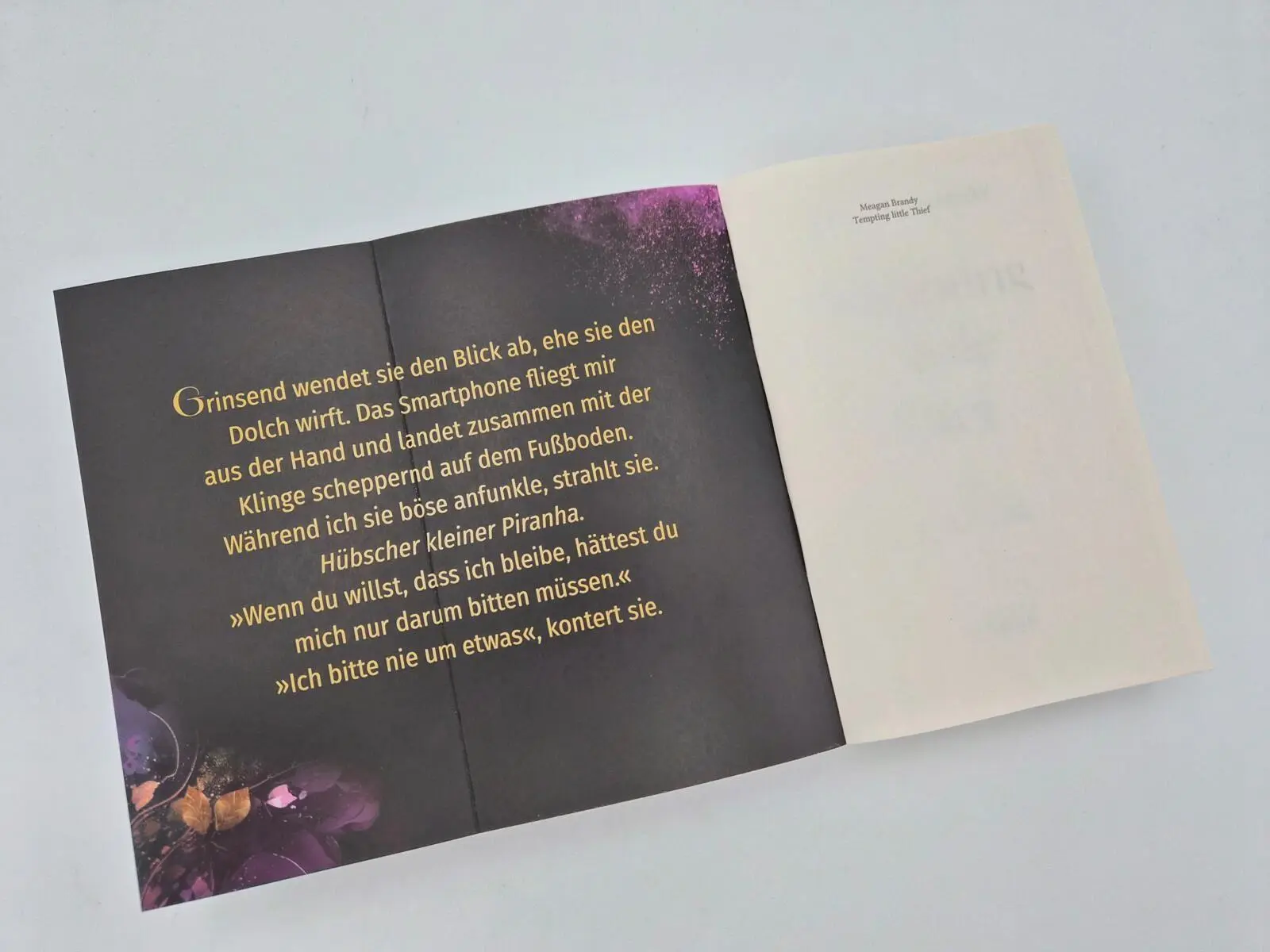 Bild: 9783492066471 | Tempting little Thief | Meagan Brandy | Taschenbuch | 592 S. | Deutsch