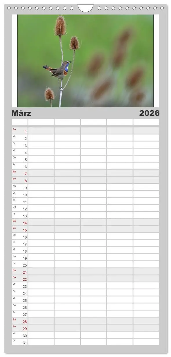 Bild: 9783516506471 | Familienplaner 2026 - Vögel, Gefiederte Schönheiten mit 5 Spalten...