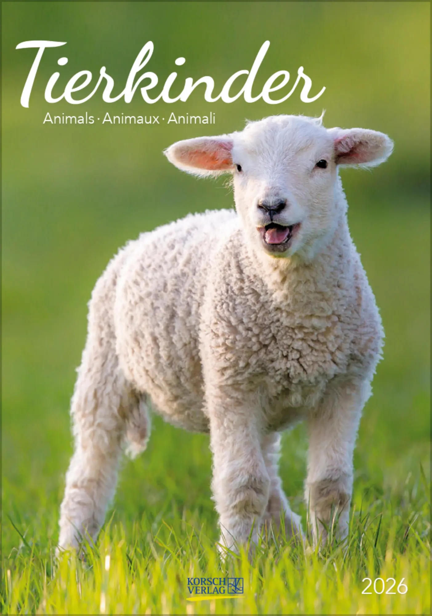 Cover: 9783731886471 | Tierkinder 2026 | Verlag Korsch | Kalender | Spiralbindung | 13 S.