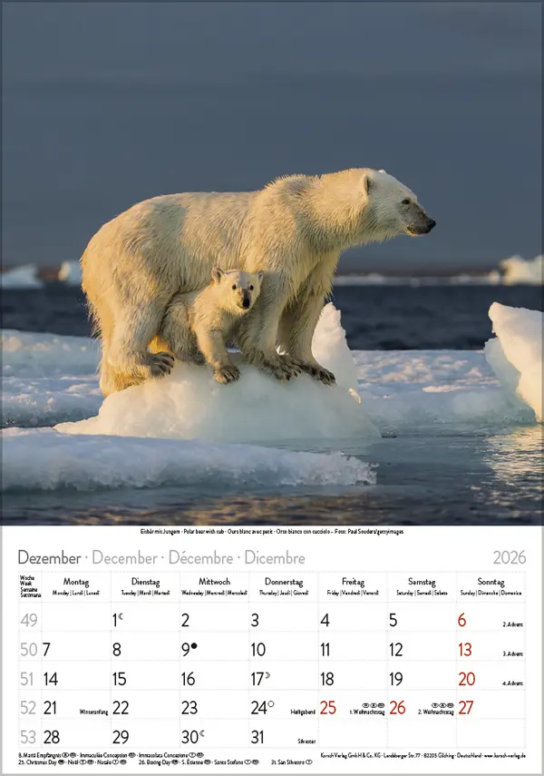 Bild: 9783731886471 | Tierkinder 2026 | Verlag Korsch | Kalender | Spiralbindung | 13 S.