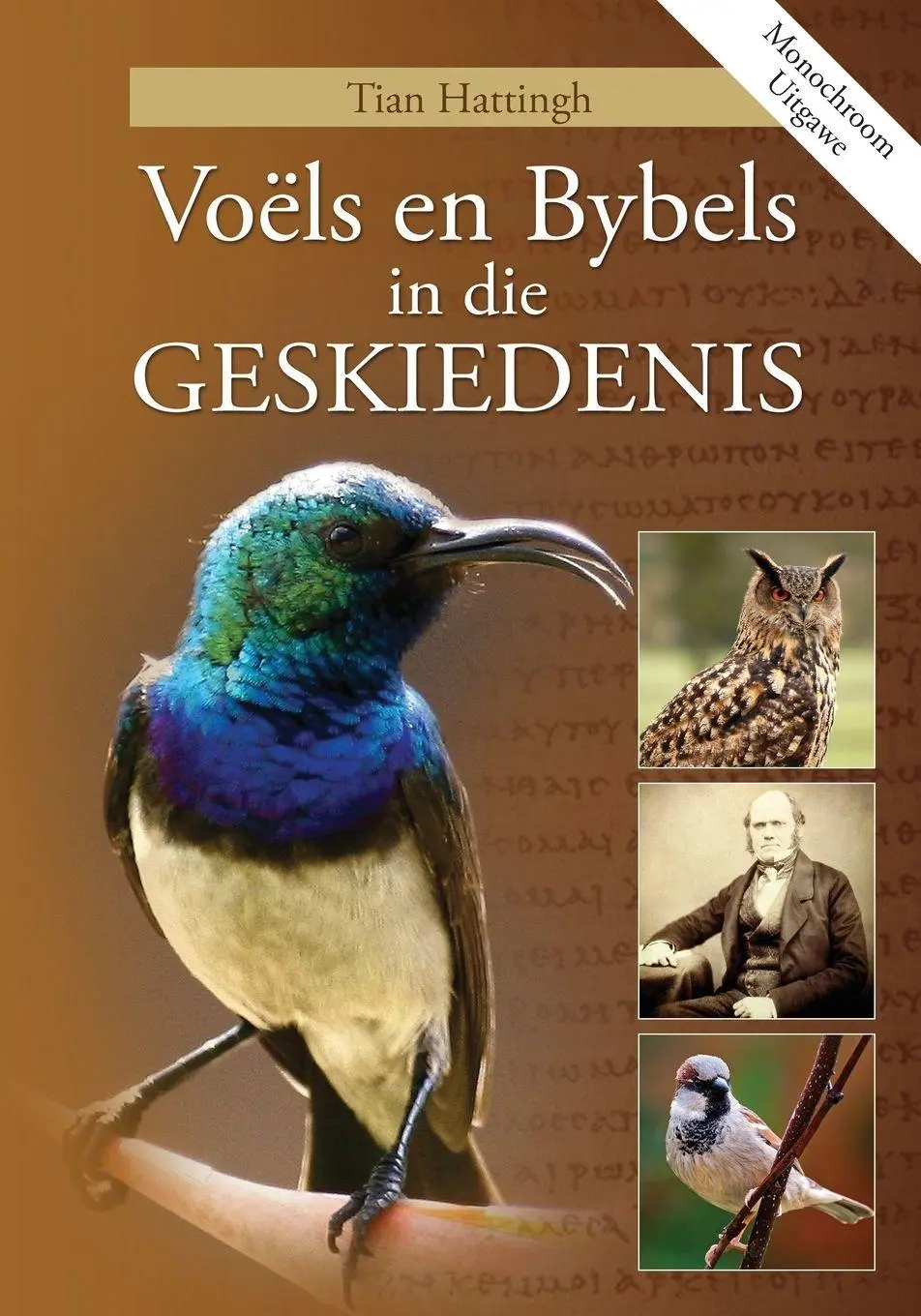 Cover: 9781905006571 | VOËLS EN BYBELS IN DIE GESKIEDENIS (Monochroom Uitgawe) | Hattingh