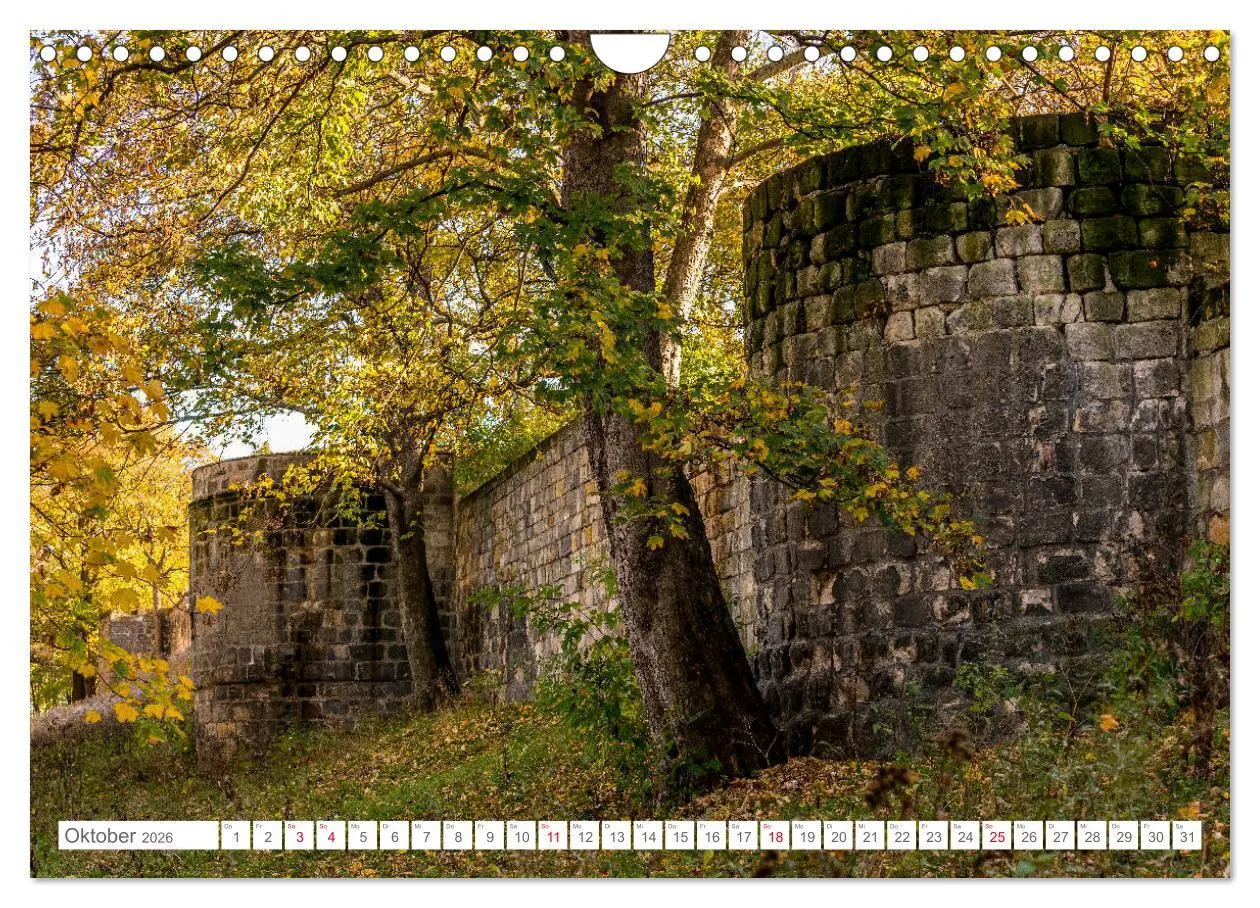 Bild: 9783457886571 | Halberstadt 2026 (Wandkalender 2026 DIN A4 quer), CALVENDO...