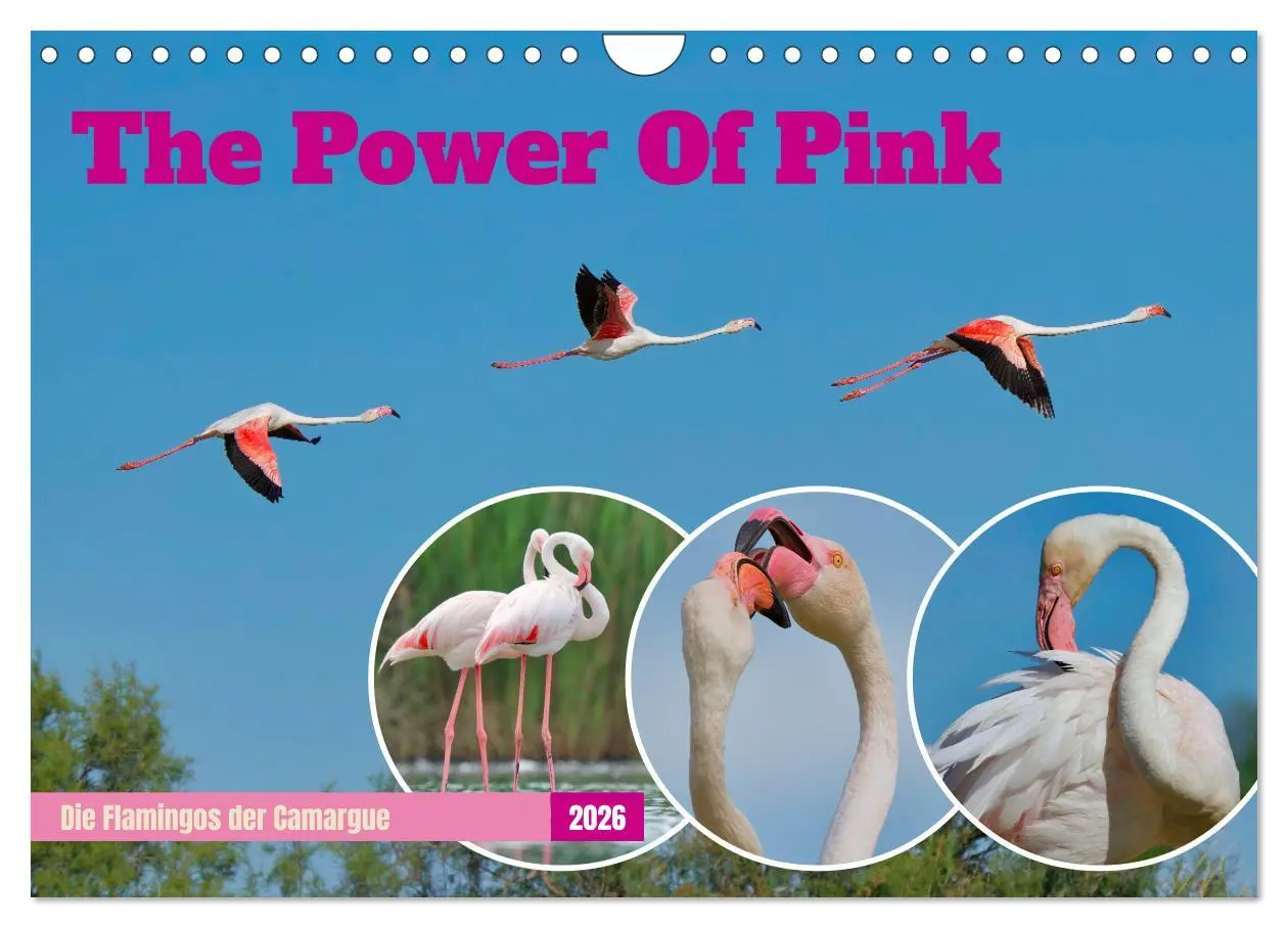 Cover: 9783457326671 | The Power Of Pink (Wandkalender 2026 DIN A4 quer), CALVENDO...